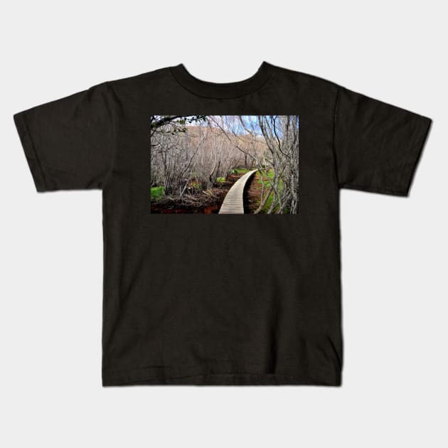 Nouvelle Zélande - Queenstown, Lac Wakatipu Kids T-Shirt by franck380